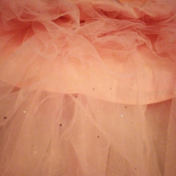 Main Strip M pink tulle ruffle confetti skirt maxi NWT - Picture 6 of 8